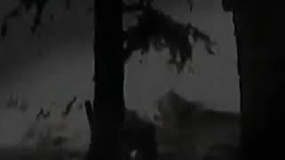 Polscy artyści - Pokonamy fale
